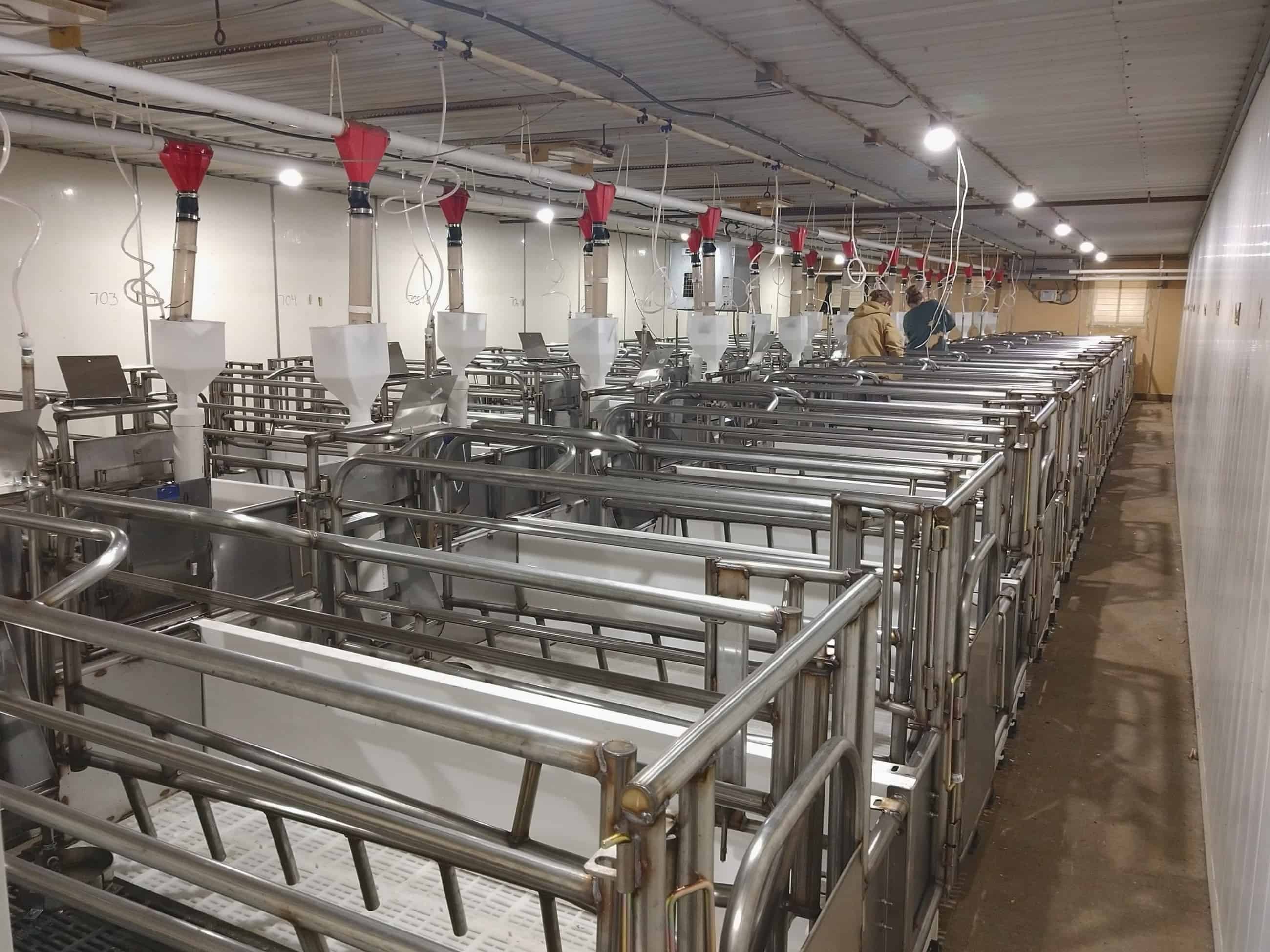 Midwest Livestock Project Thorp Equipment